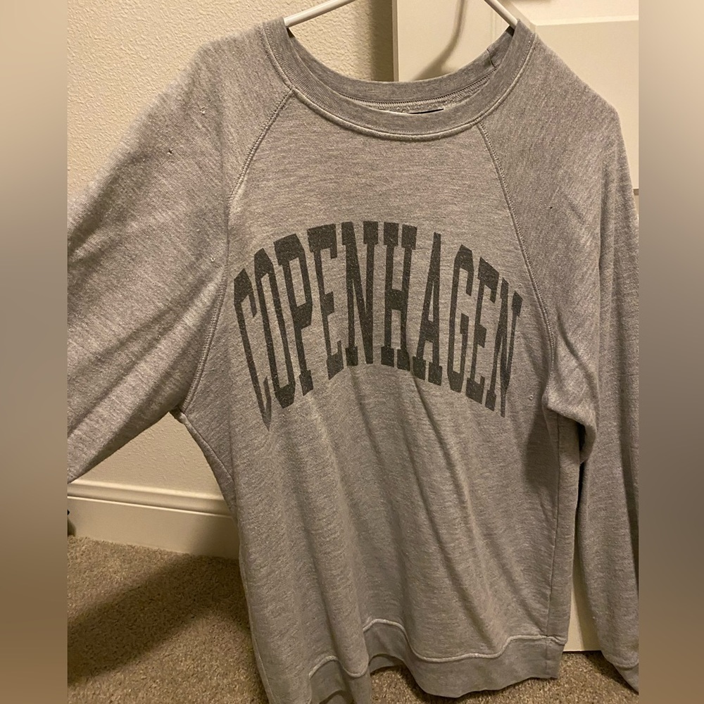 Copenhagen gray free people sweatshirt